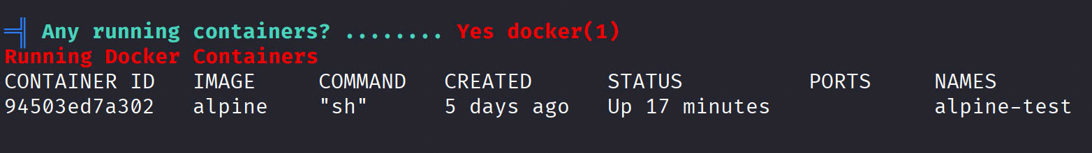 Docker PrivEsc