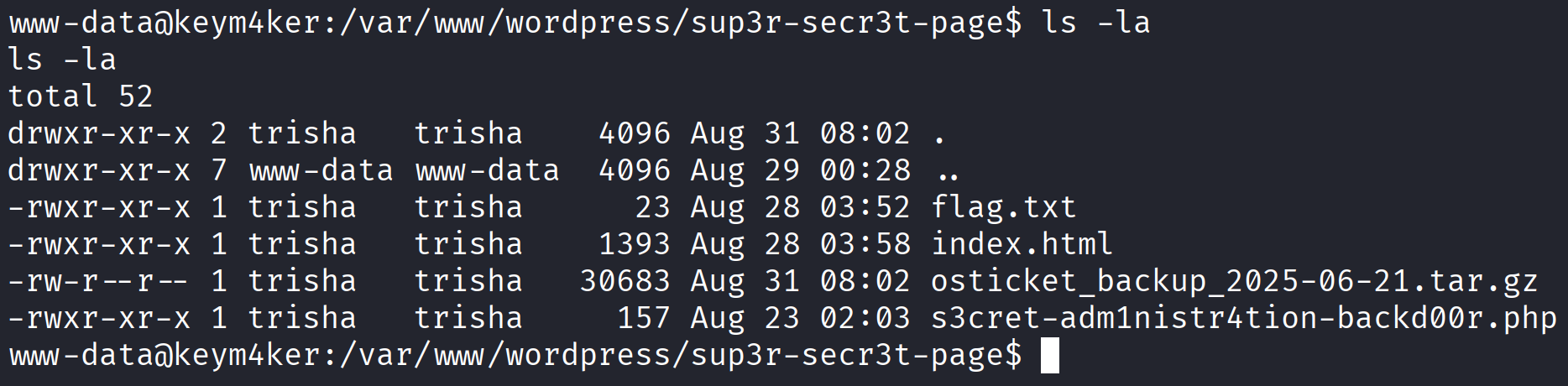 Secret Page Osticket